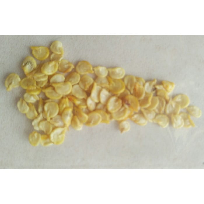 ddce13494b58572807b09c24a49799a7