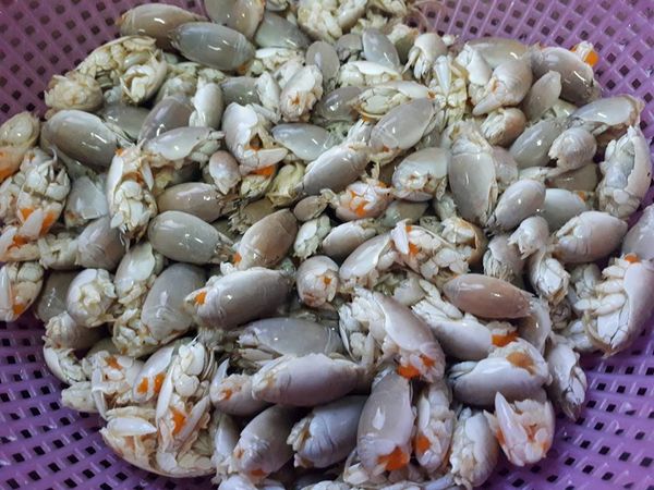 hukum makan yat yat