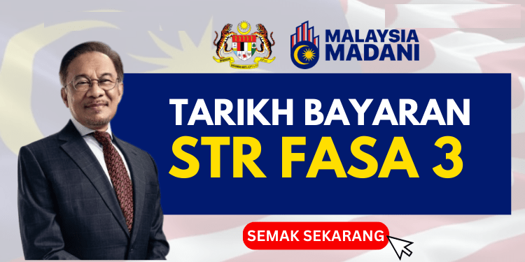 str 2024 semakan status