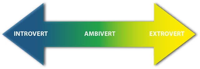 Maksud Ambivert